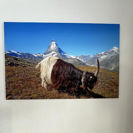 Haus Vira Lejlighed Zermatt Eksteriør billede