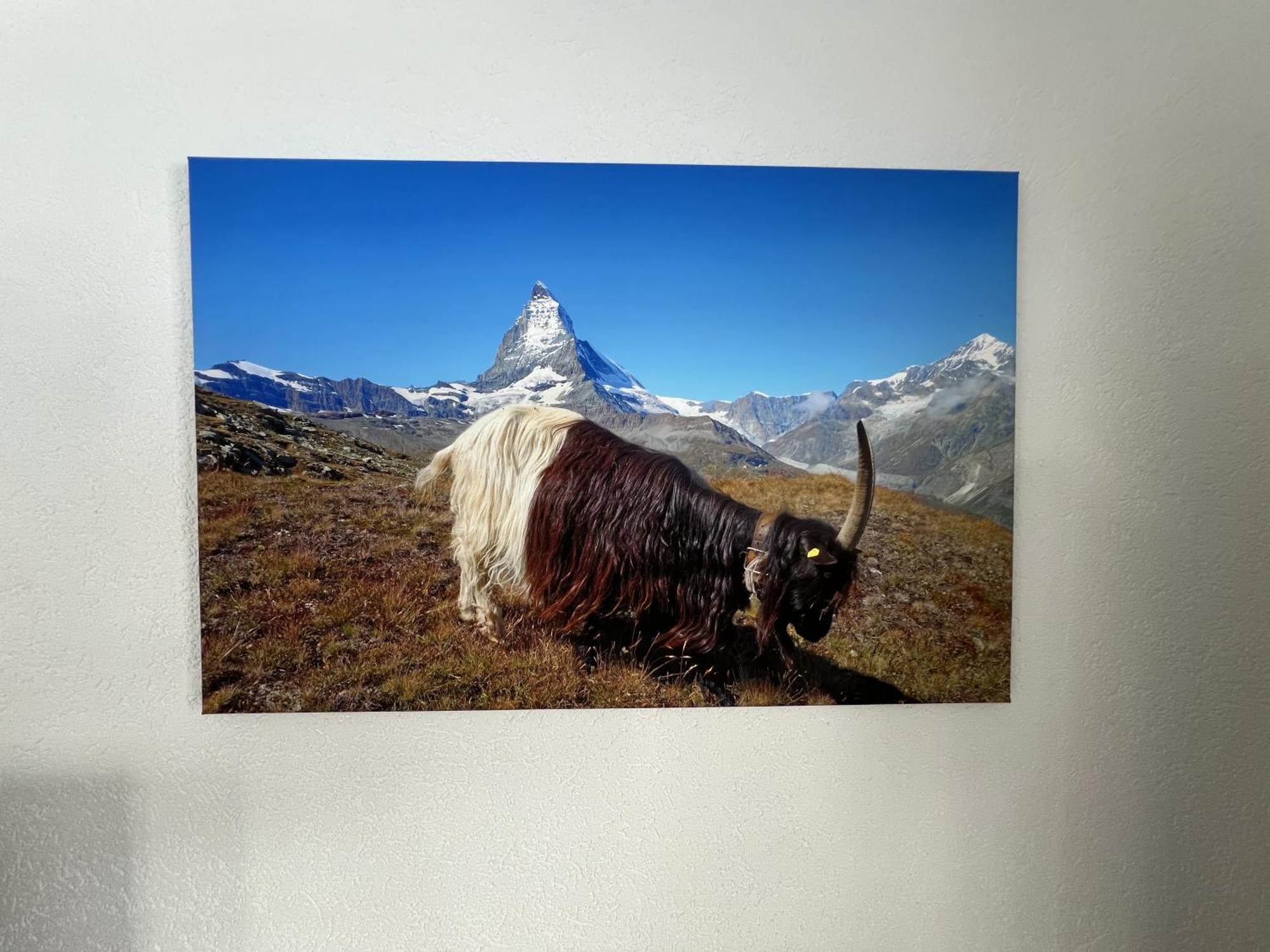 Haus Vira Lejlighed Zermatt Eksteriør billede
